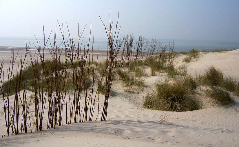 Strand in Zeeland